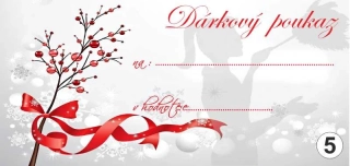 - 5 - dárkový poukaz - voucher - 200 x 95 mm