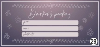 - 29 - dárkový poukaz - voucher - 200 x 95 mm